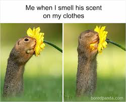 30 Funny And Relatable Memes From This ...