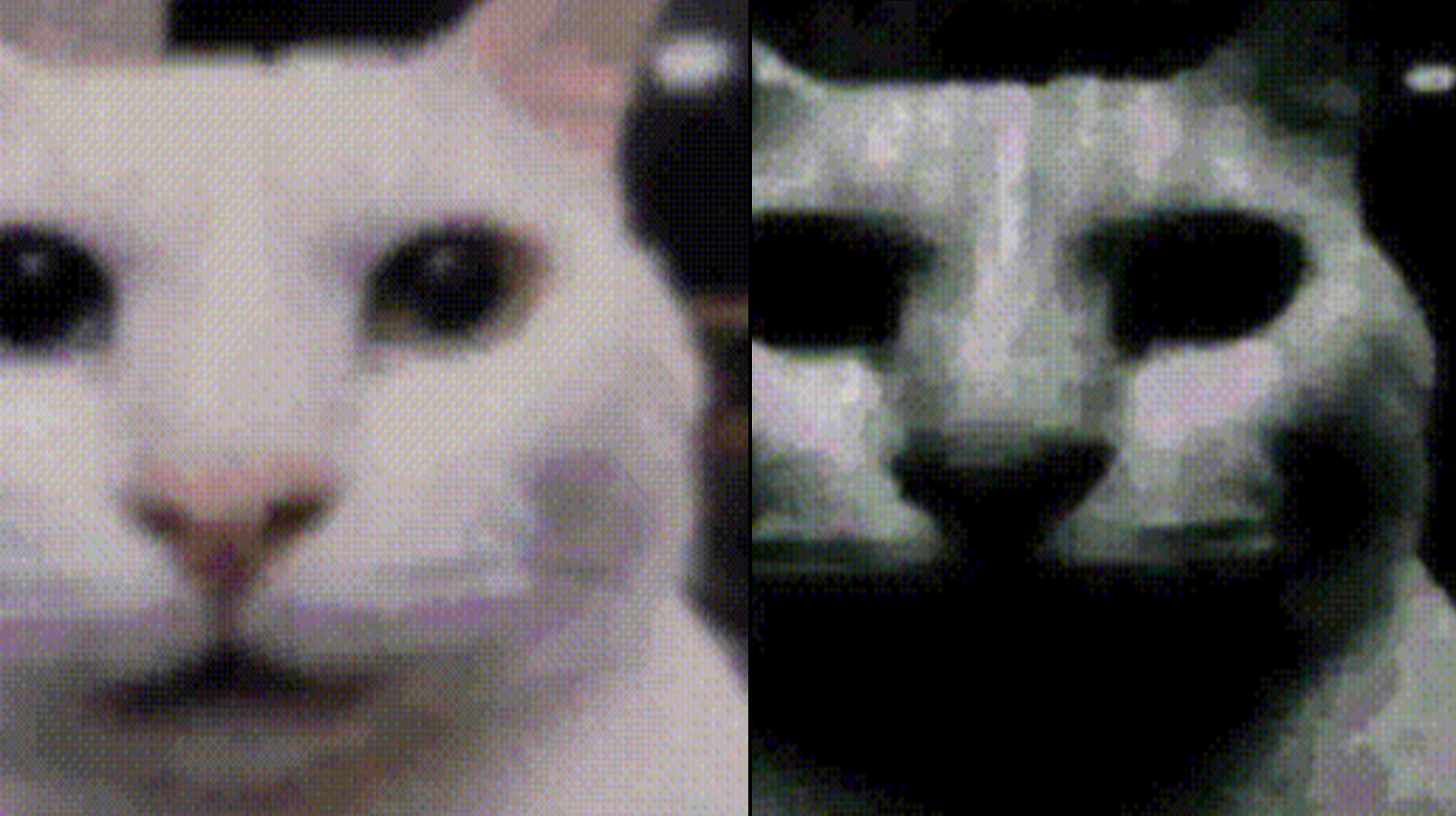 Uncanny Cat